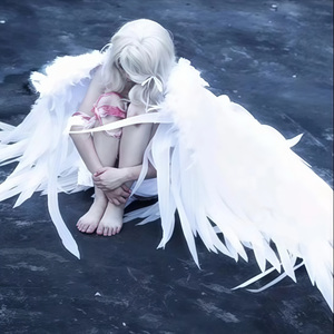 日本IPPA官网入口地址
