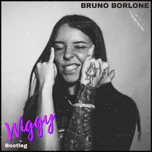 日本IPPA官网入口地址
