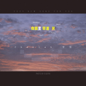 日本IPPA官网入口地址
